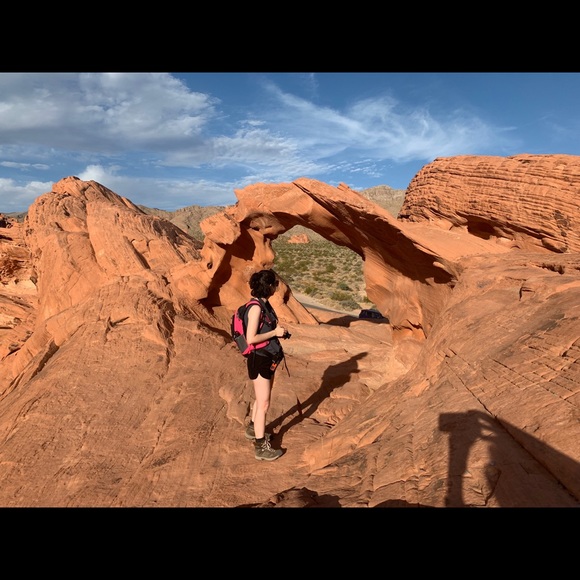 Meet your Posher, Zara - Picture 1 of 1